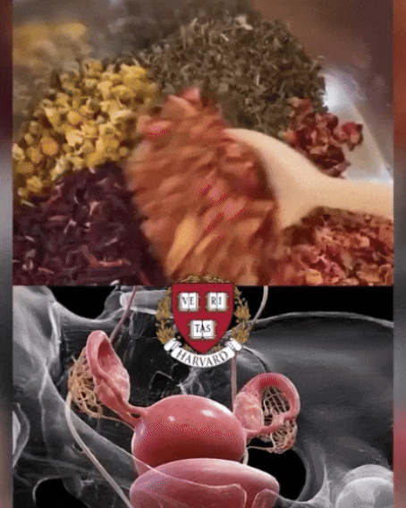 Dr. Shetty explains the 7-Second Bladder Reset